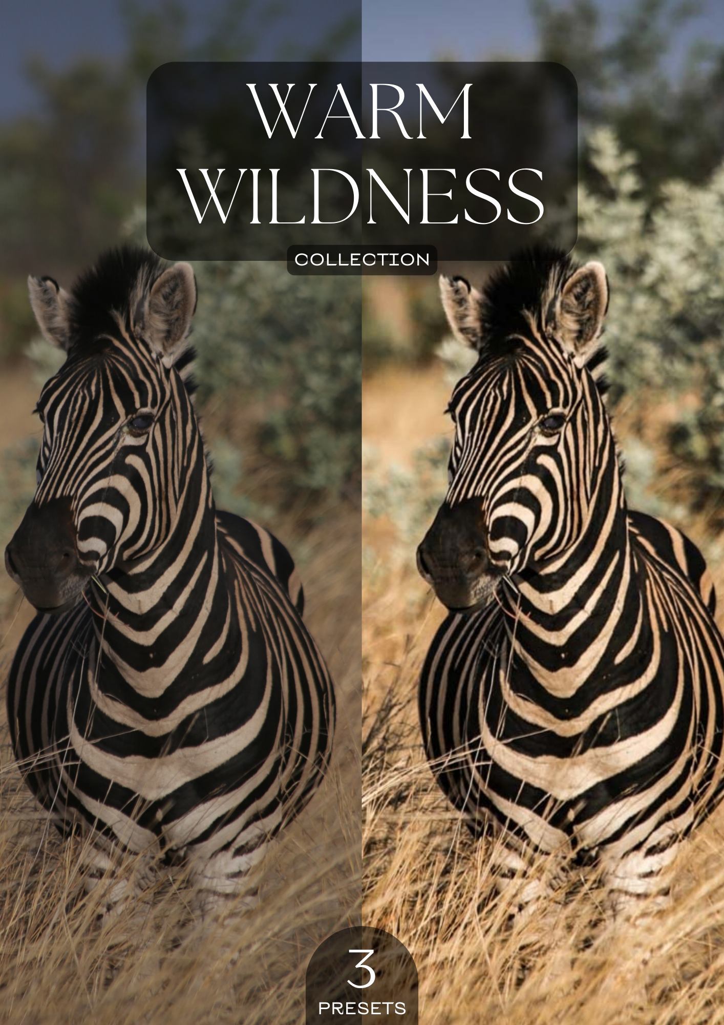PRESETS | WARM WILDNESS COLLECTION
