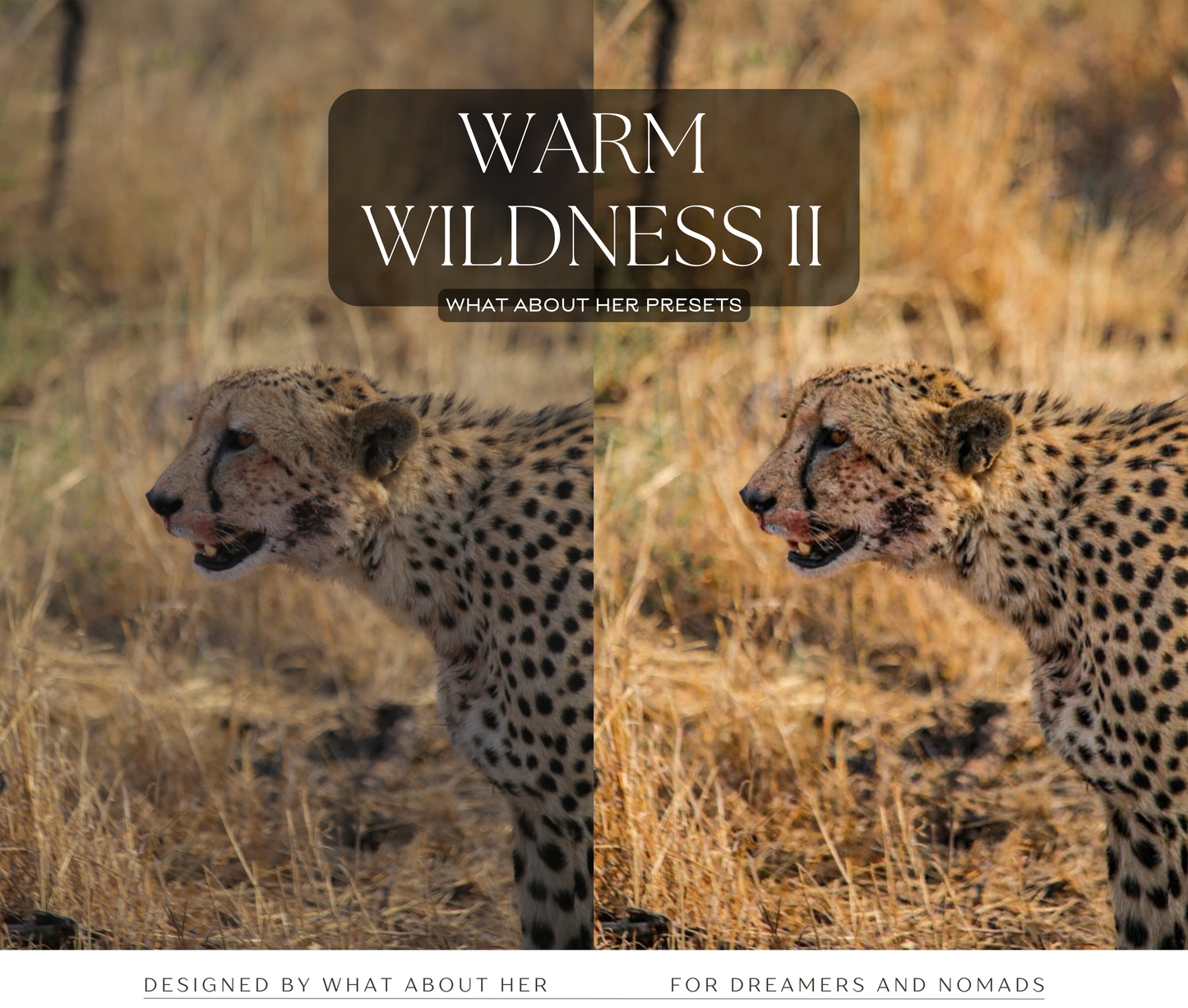 PRESETS | WARM WILDNESS COLLECTION