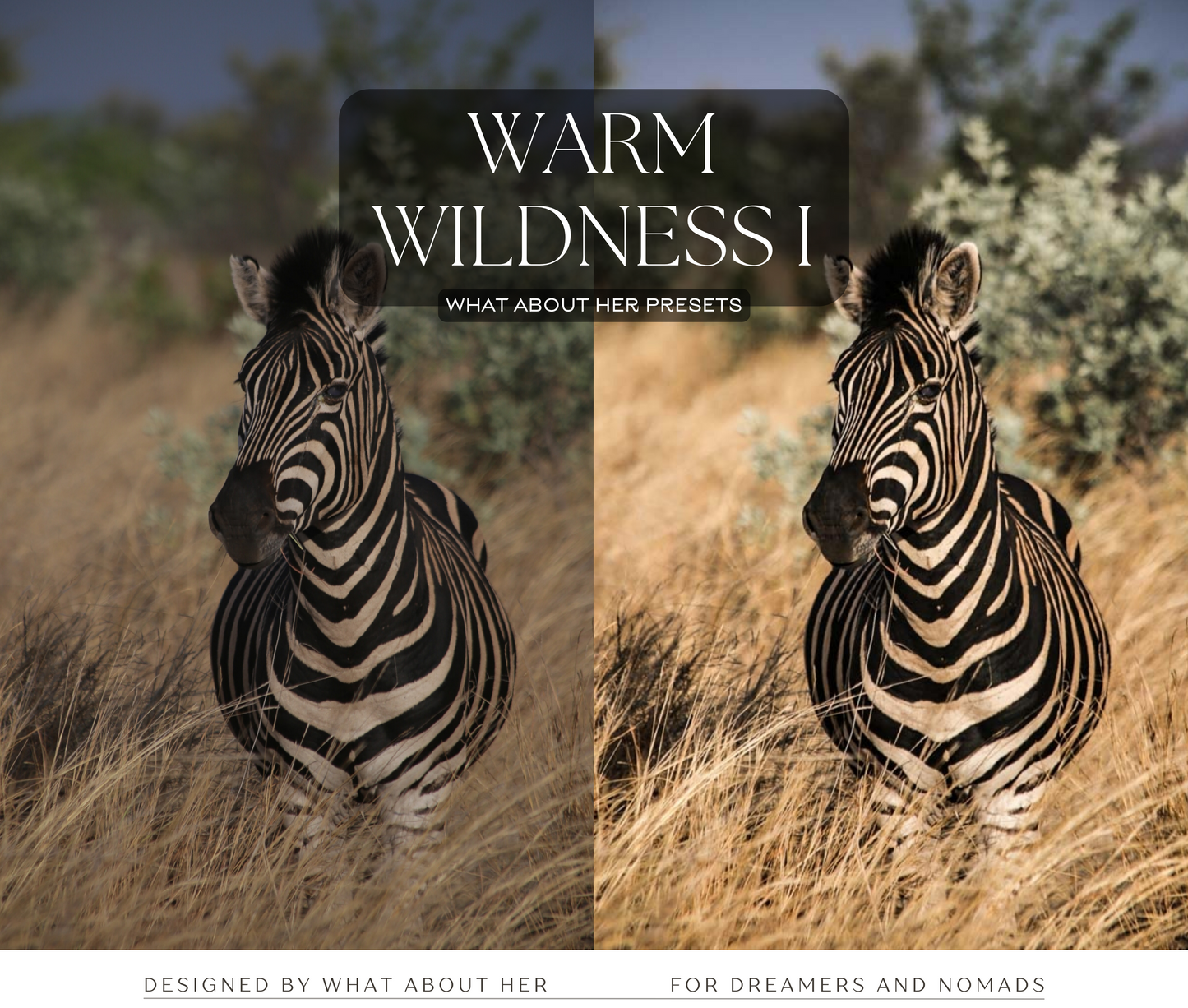 PRESETS | WARM WILDNESS COLLECTION