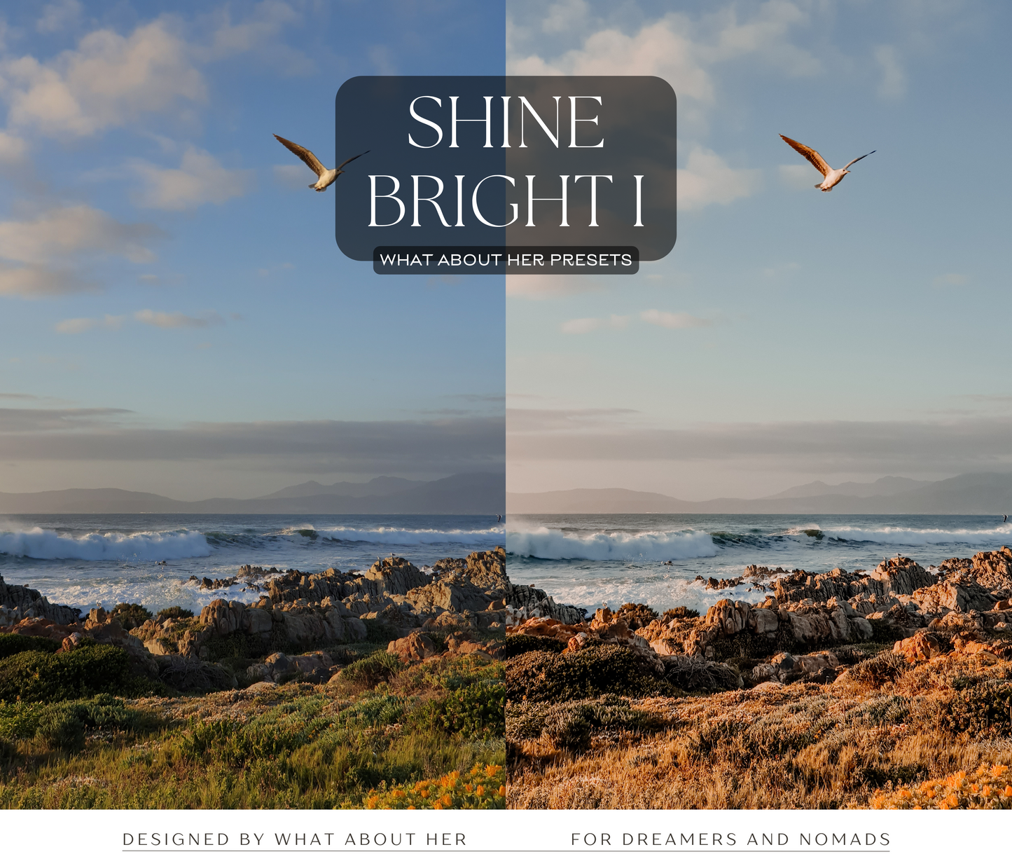 PRESETS | SHINE BRIGHT COLLECTION