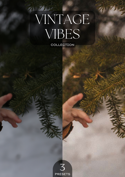 PRESETS | VINTAGE VIBES COLLECTION