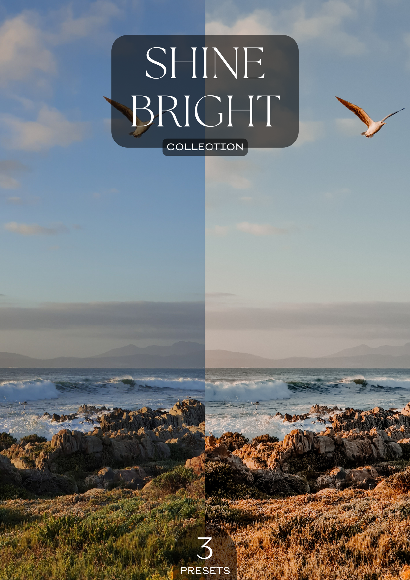 PRESETS | SHINE BRIGHT COLLECTION