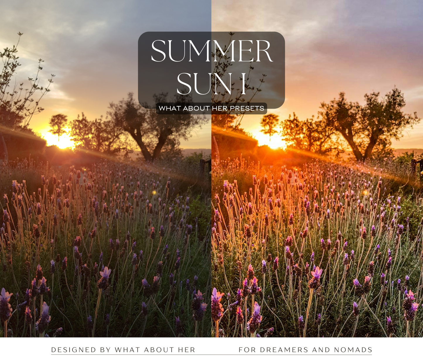 PRESETS | SUMMER SUN COLLECTION