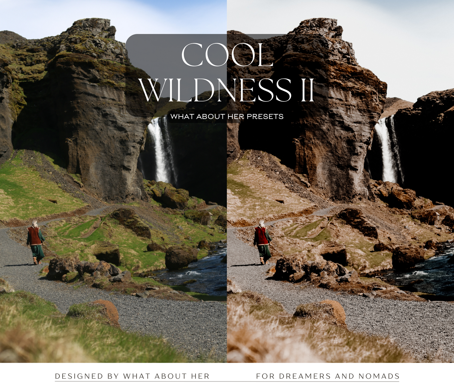 PRESETS | COOL WILDNESS COLLECTION