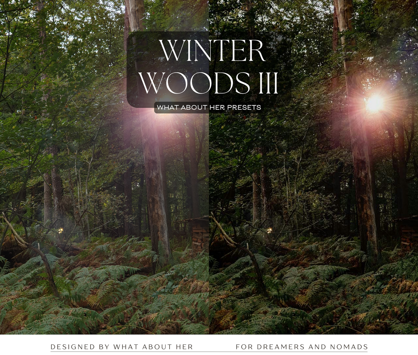 PRESETS | WINTER WOODS COLLECTION